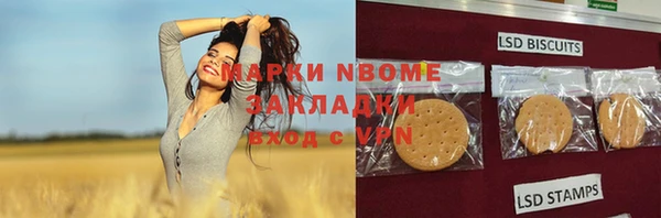 кокс Ельня