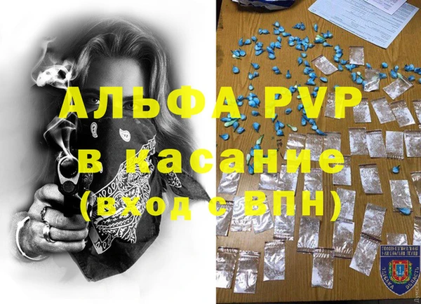 дживик Елабуга
