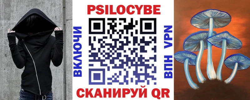 Псилоцибиновые грибы мицелий  Купить  Правдинск 